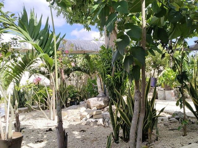 place photo 23