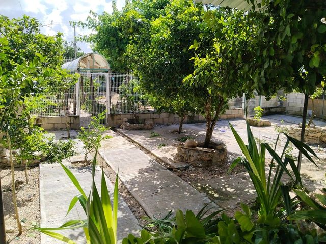 place photo 25