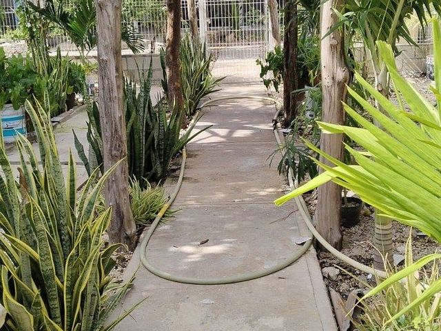 place photo 26
