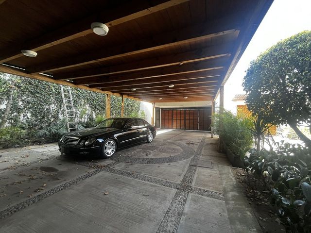 place photo 48