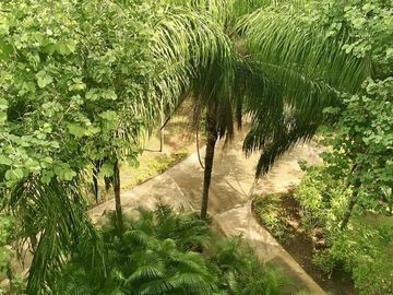 place photo 24