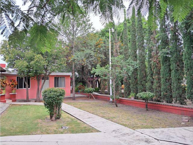 place photo 19
