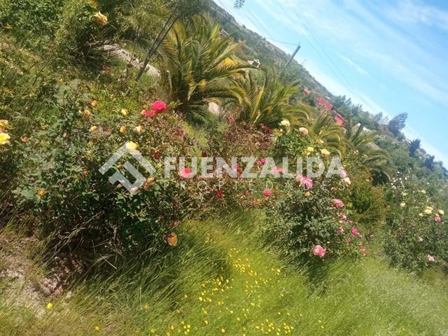 place photo 82