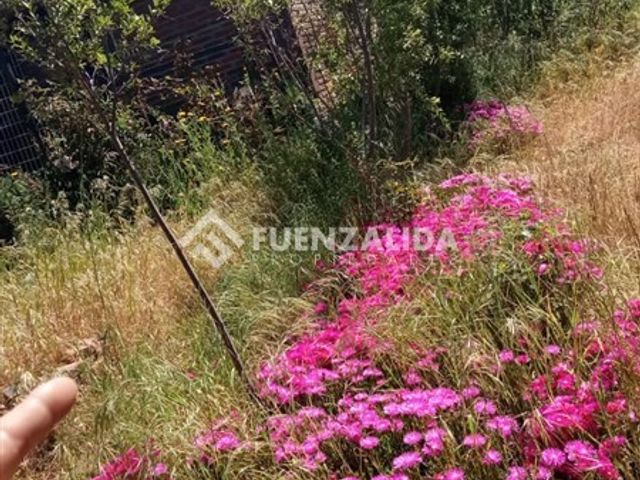place photo 48