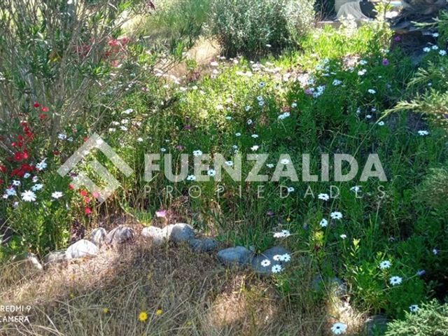 place photo 46