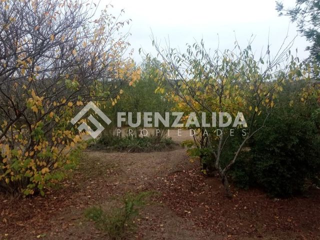 place photo 60