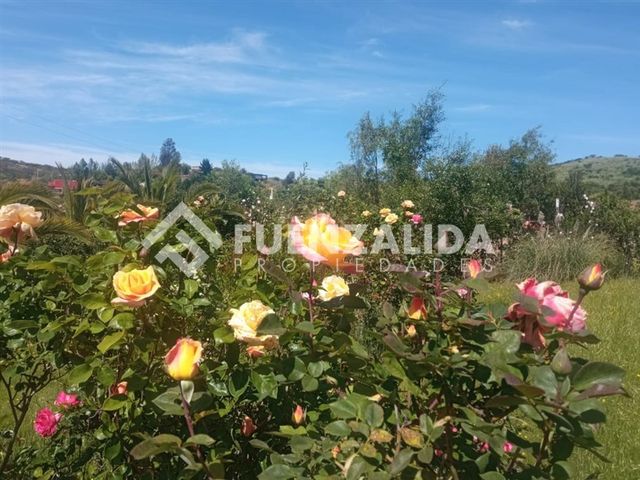 place photo 84