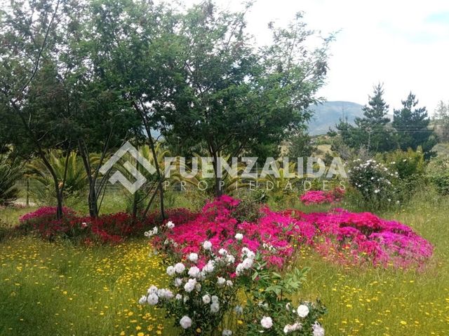 place photo 87
