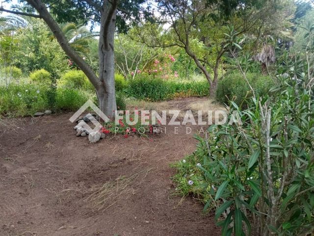 place photo 98