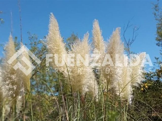 place photo 65