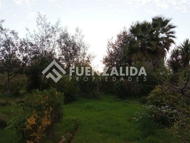 place photo 67