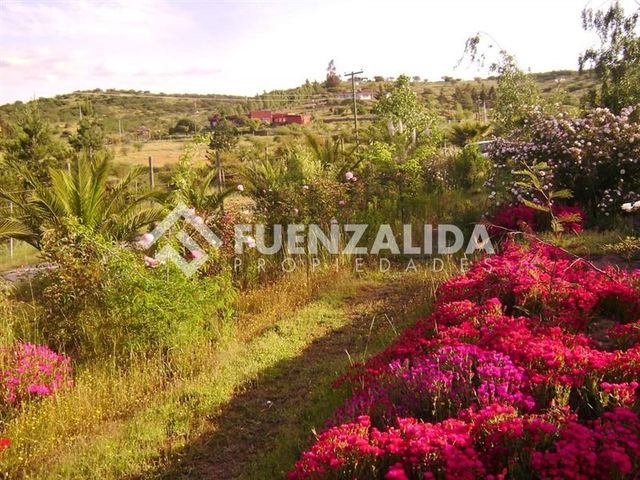 place photo 37