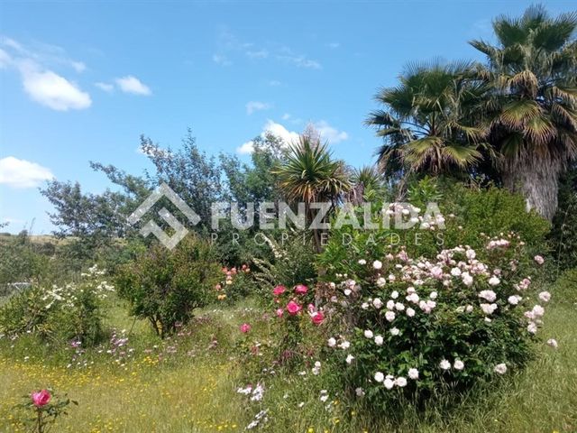 place photo 89