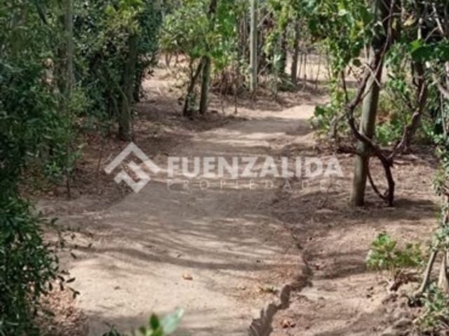 place photo 61