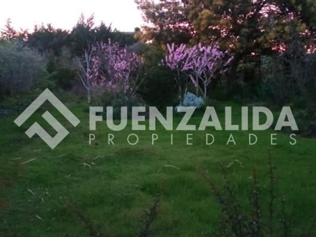 place photo 53