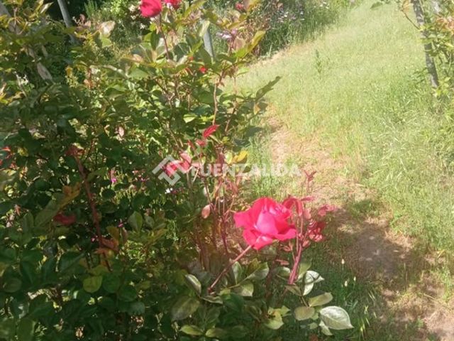 place photo 80