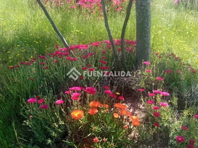 place photo 83