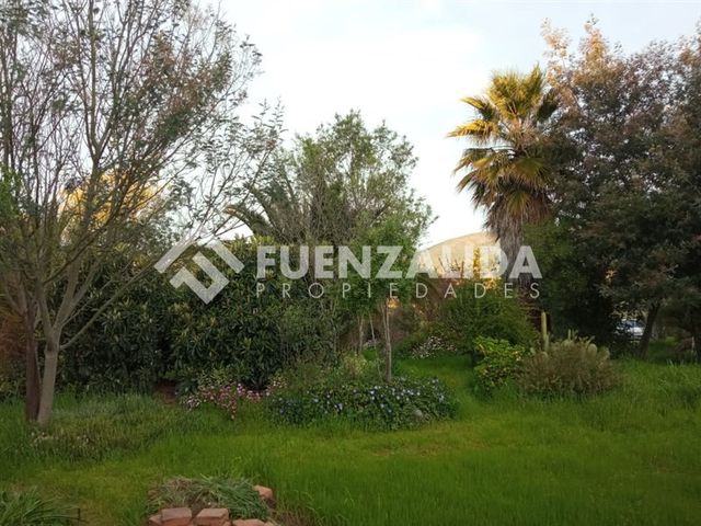 place photo 66