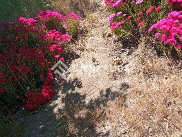 place photo 47
