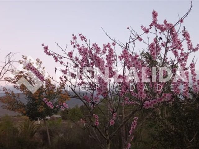 place photo 51
