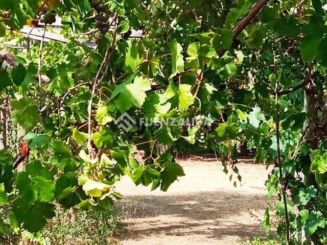 place photo 32