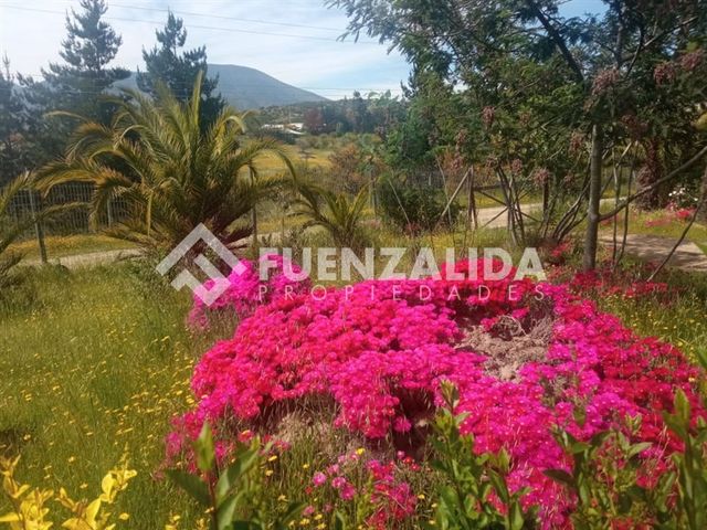 place photo 81