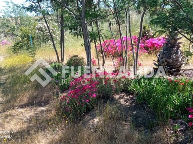 place photo 45