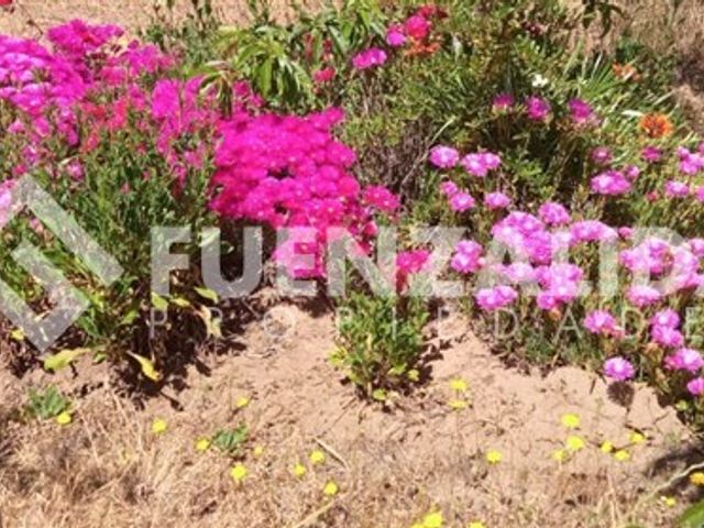 place photo 44