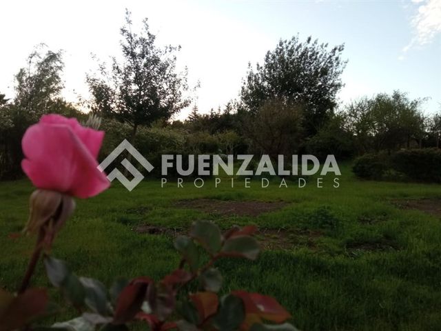 place photo 68