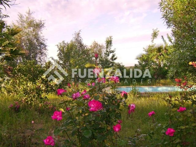 place photo 40
