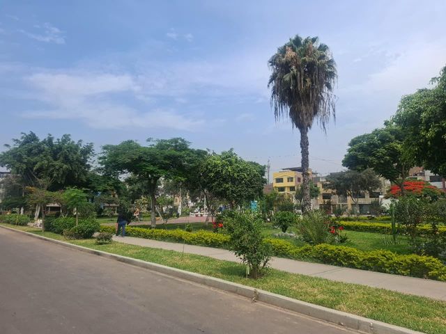 place photo 16