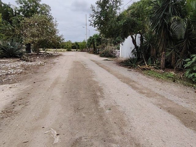 place photo 15