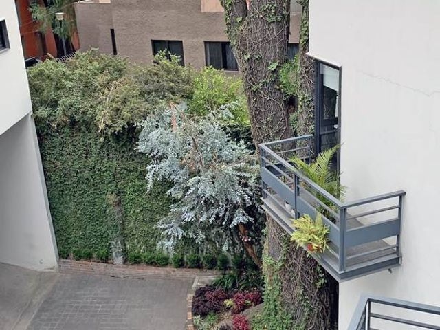 place photo 47
