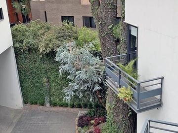 place photo 47