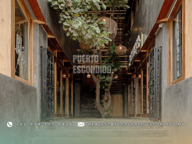 place photo 21