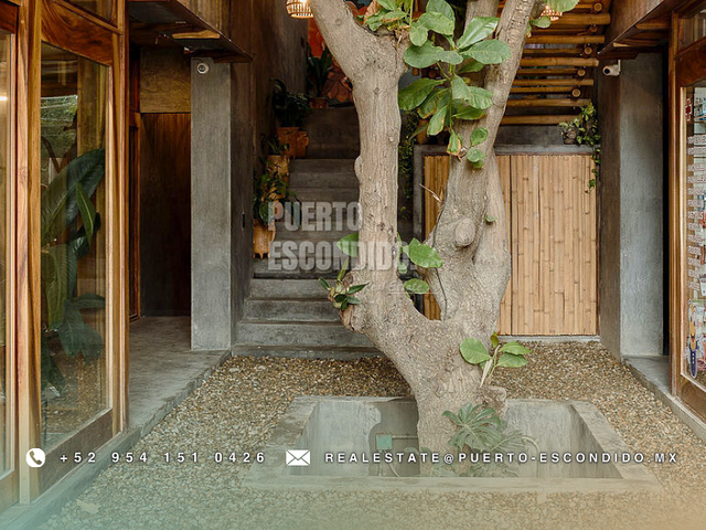 place photo 27