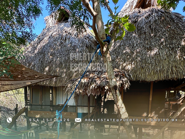 place photo 29