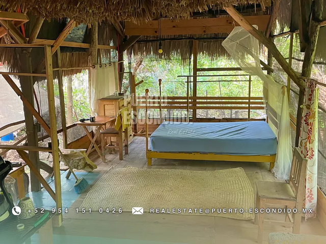 place photo 21