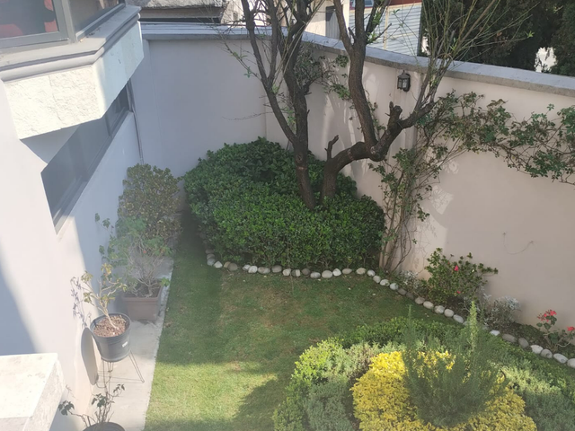 place photo 36