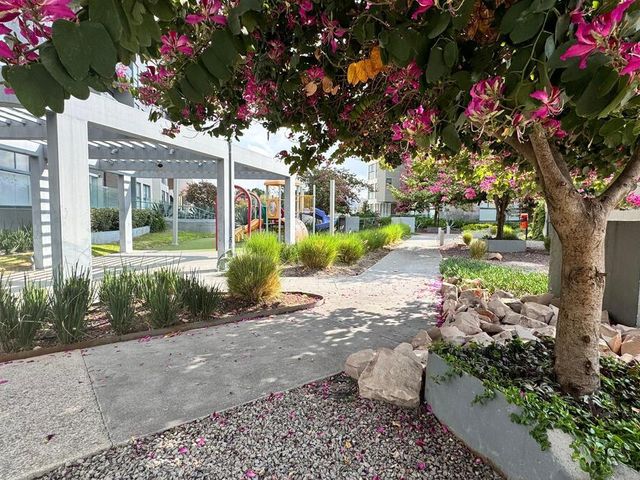 place photo 38