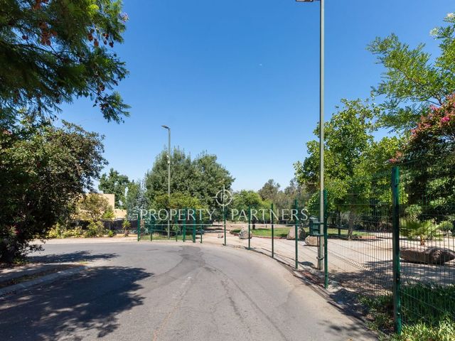 place photo 26