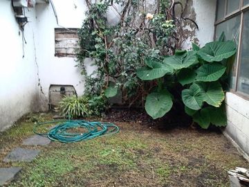 place photo 22
