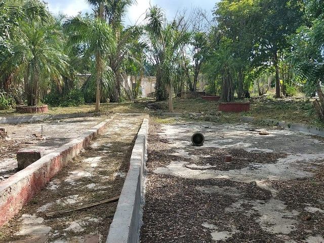 place photo 15