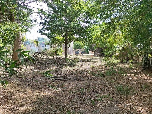 place photo 18