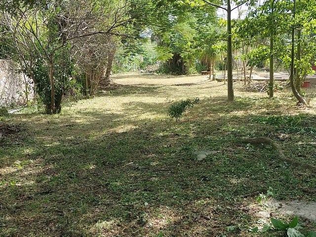 place photo 17