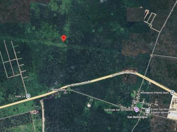 place photo 8