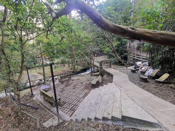 place photo 26