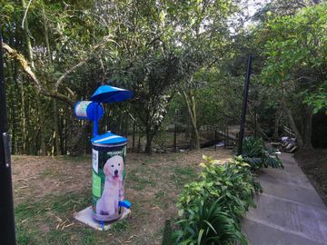 place photo 30