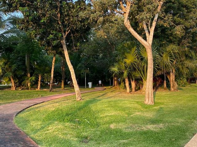 place photo 19