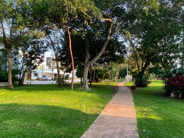place photo 30